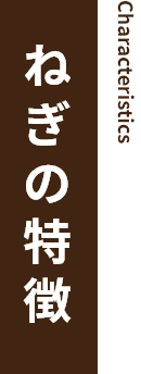 Characteristic
ねぎの特徴