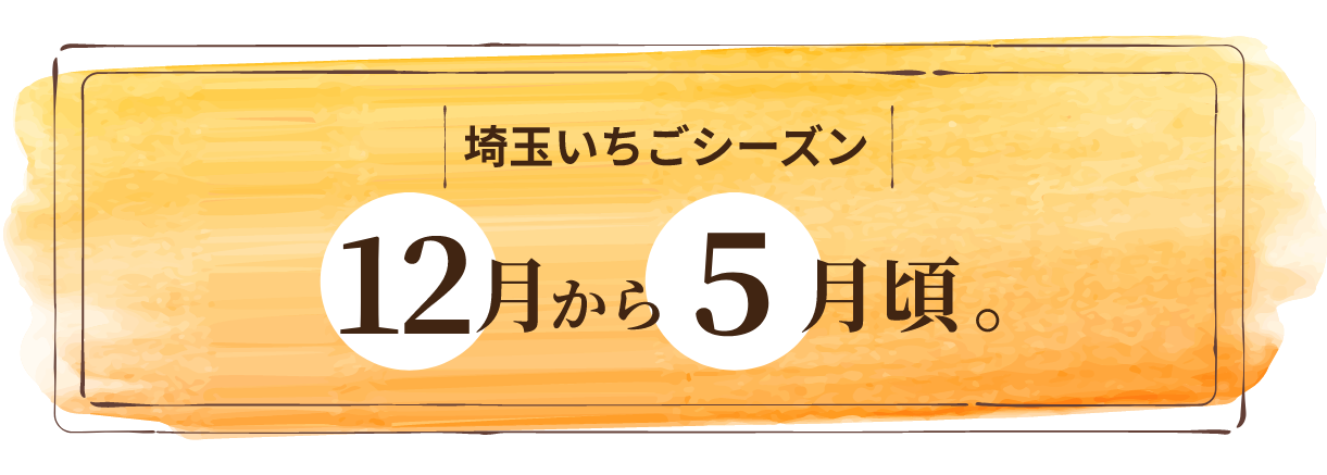 いちご出荷時期
1月中旬から5月頃。