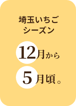 いちご出荷時期
1月中旬から5月頃。