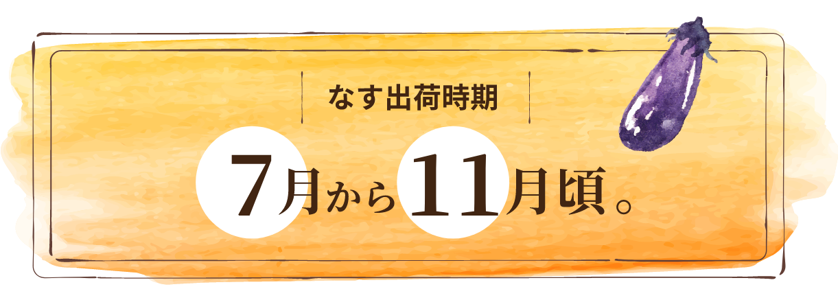 なす出荷時期
7月中旬から11月頃。