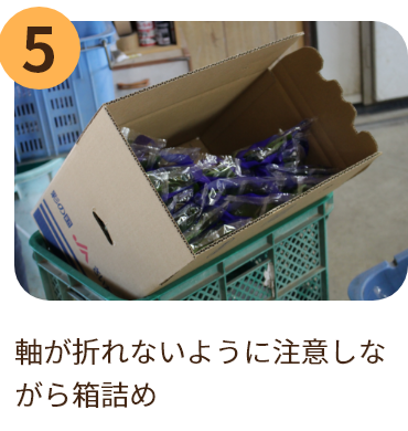 軸が折れないように注意しながら箱詰め