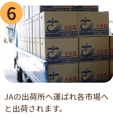 JAの出荷所へ運ばれ各市場へと出荷されます。