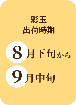 彩玉出荷時期
 8月下旬から9月中旬