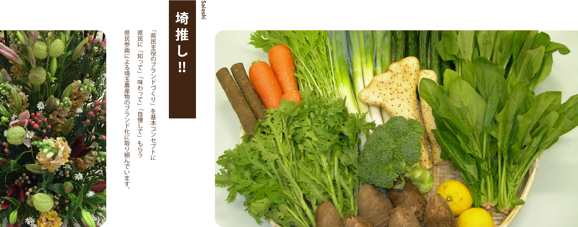 Saioshi
埼推し!!
「県民主役のブランドづくり」を基本コンセプトに県民に「知って」「味わって」「自慢して」もらう県民参画による埼玉農産物のブランド化に取り組んでいます。